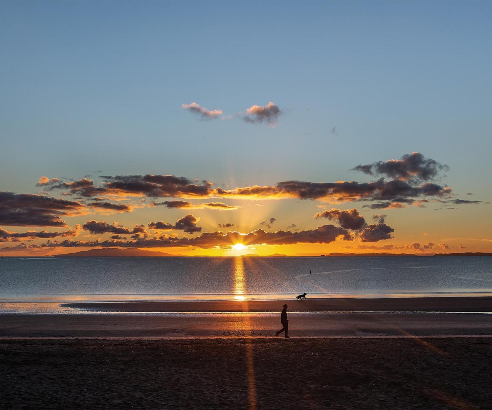 7Br 3Bh Beach Escape. 2 Min To Browns Bay Beach Auckland Extérieur photo